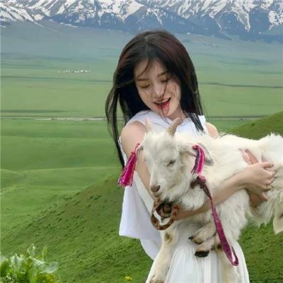 谍报飞龙